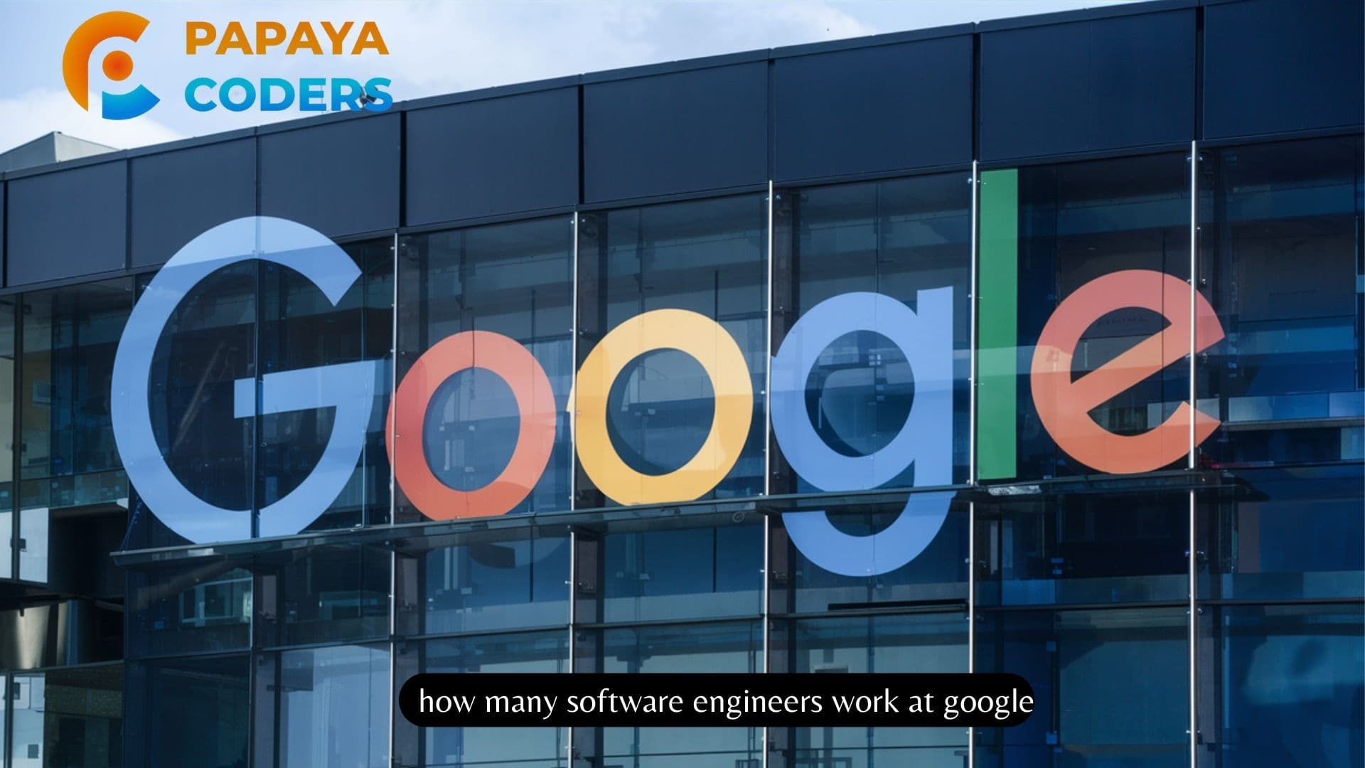 How many software engineers work at Google 2024?