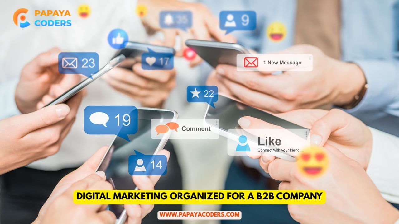 How is digital marketing organized for a B2B company?